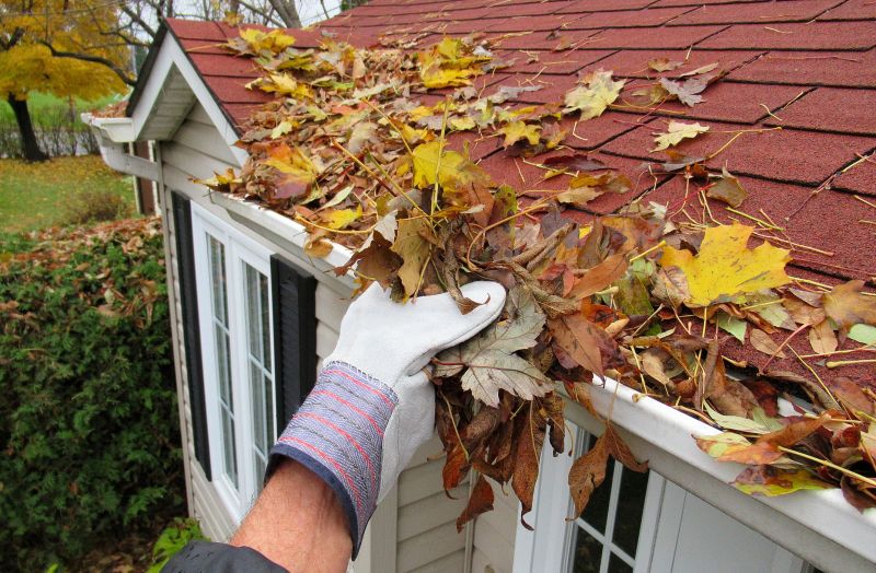 Downspout Cleaning in Rochester, NY