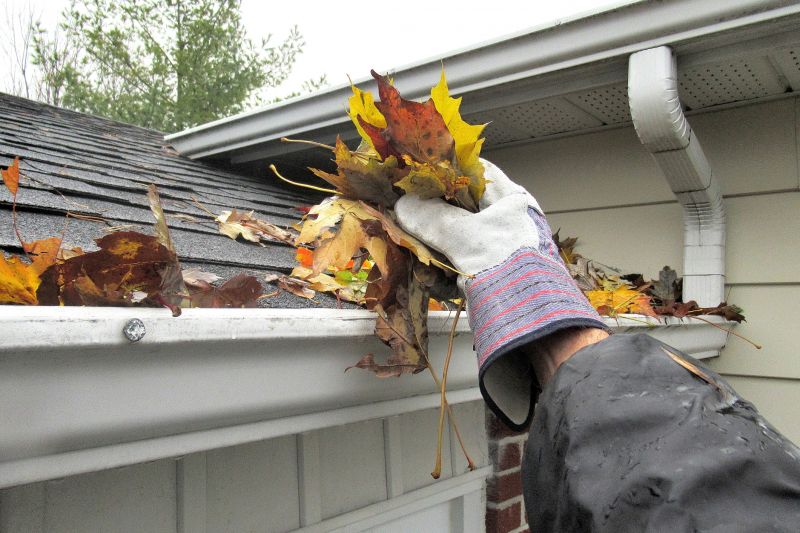 Eavestrough Clearing in Morris County, NJ
