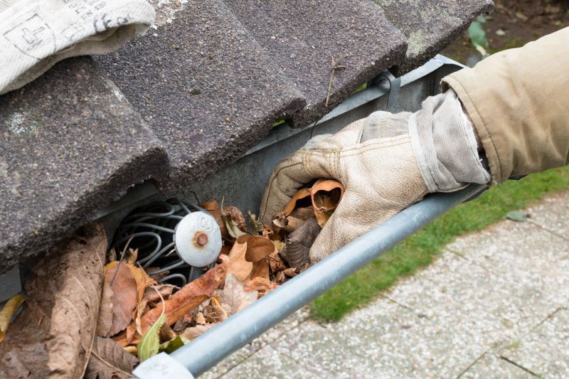Gutter Leaves Removal in Morris County, NJ