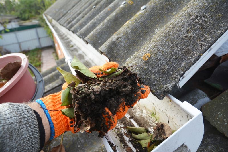 Gutter Pine Needle Removal in Baltimore, MD