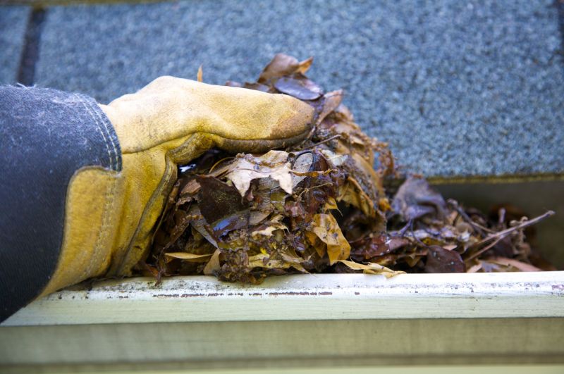 Rain Gutter Clearing in Arvada, CO
