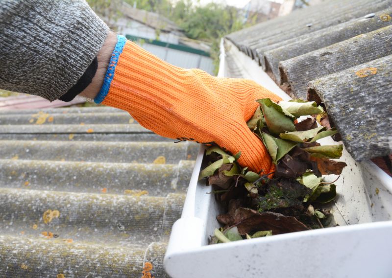 Roof Gutter Cleaning in Longmont, CO